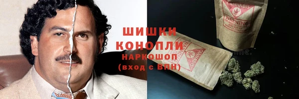 спайс Лагань