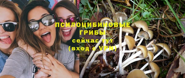 трава Куйбышев