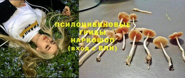 трава Куйбышев