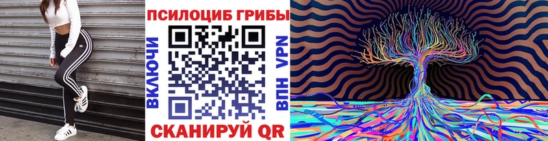Купить закладки  Шуя  Галлюциногенные грибы ЛСД 